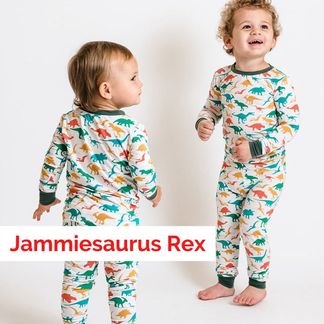 Jammiesaurus Rex